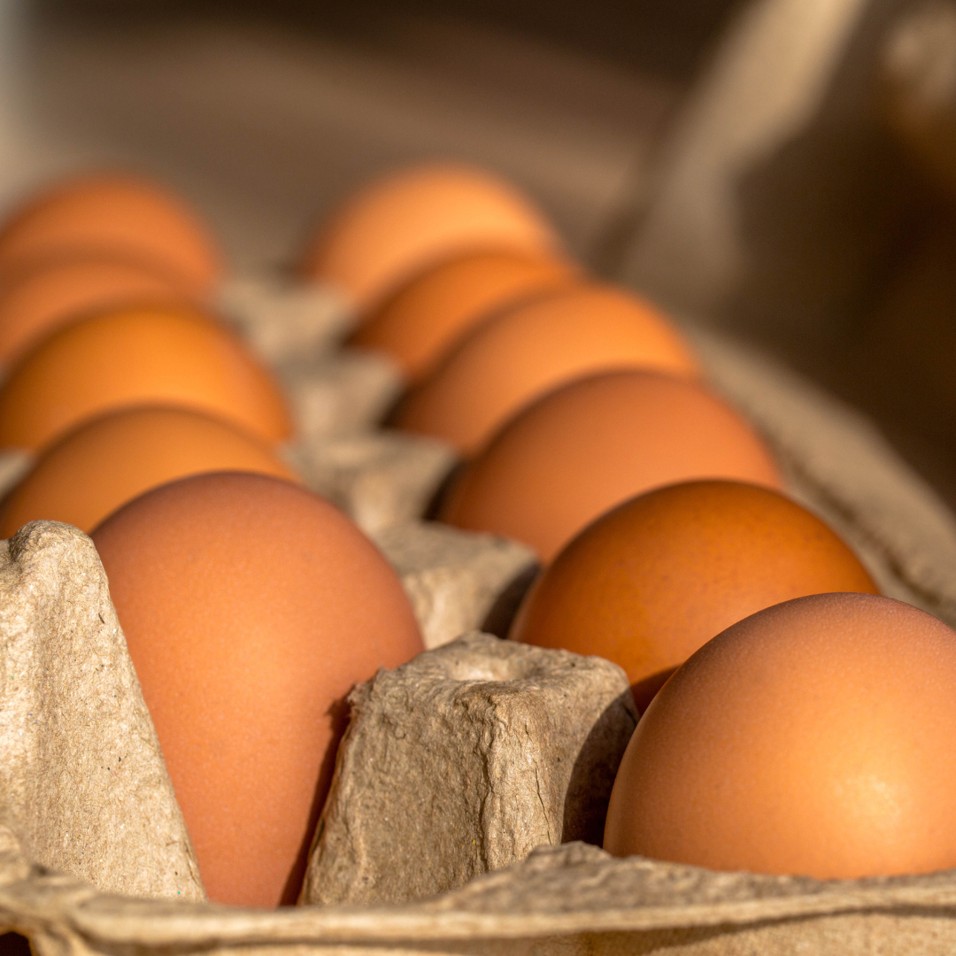 1 Dozen Eggs