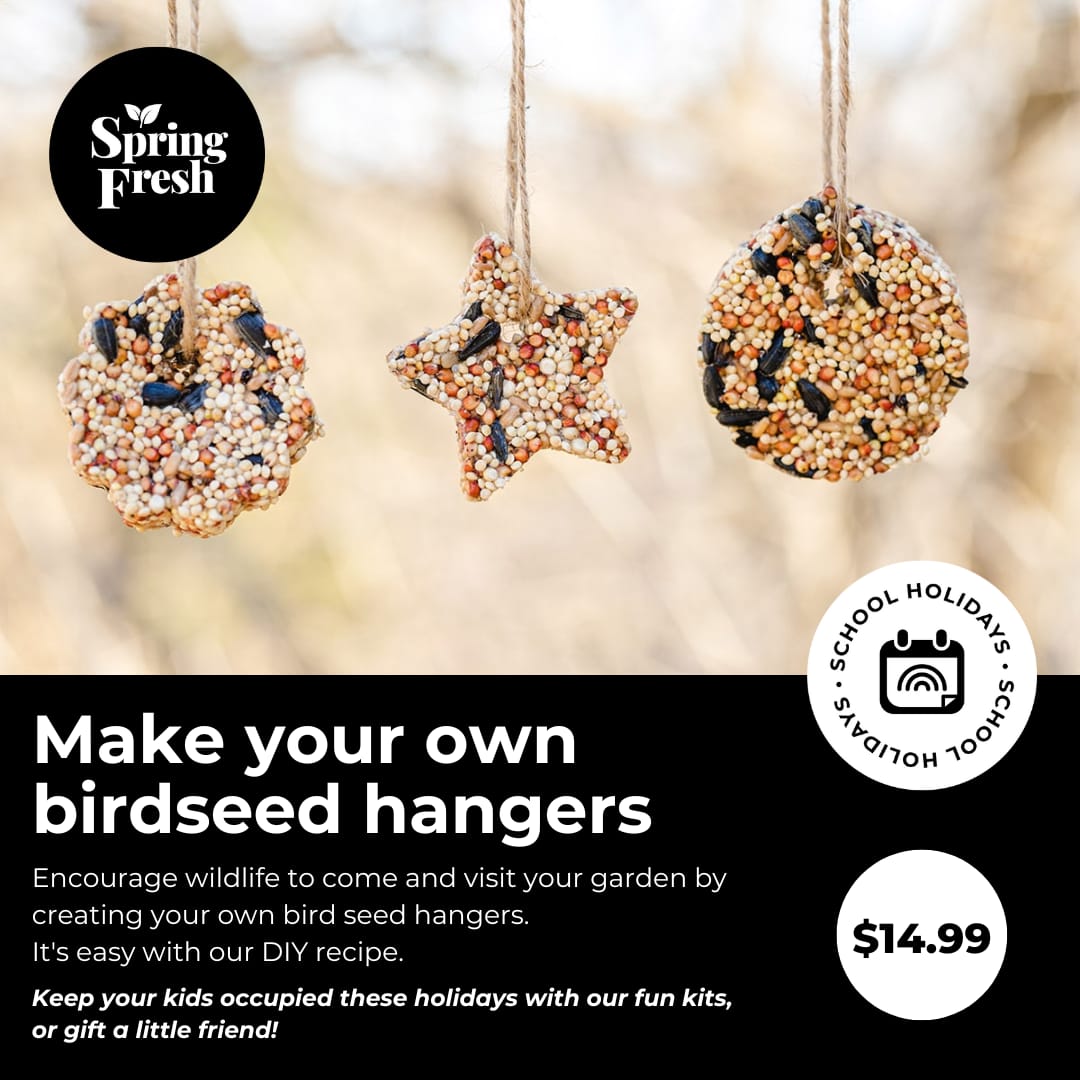 Bird Seed Feeder Kit
