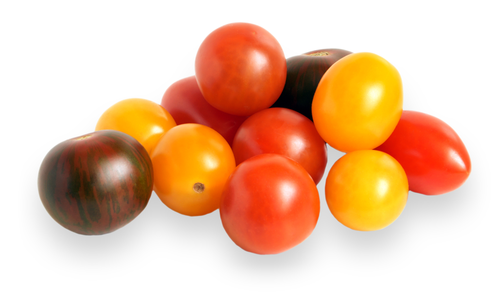 Tomato  Medley / punnet