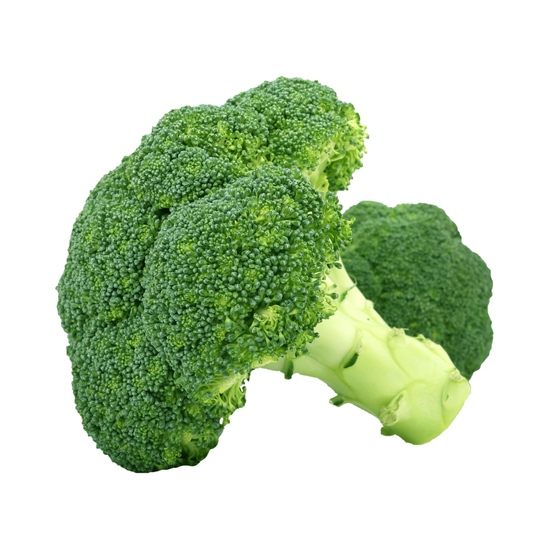 Broccoli - Head