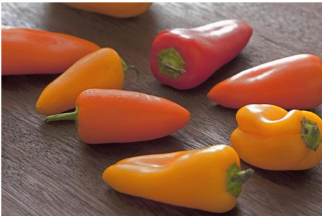 Capsicum Baby punnet