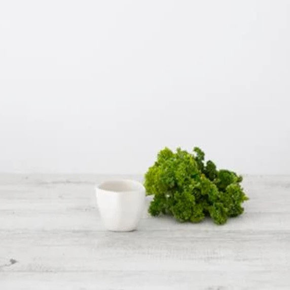 Flax Cup 5.5cm White