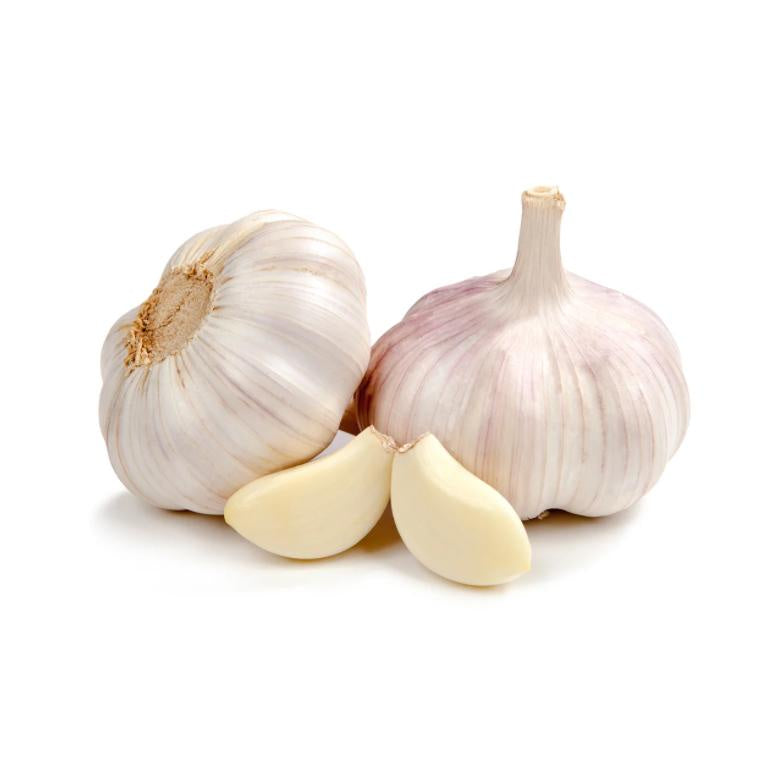 Garlic Bulb