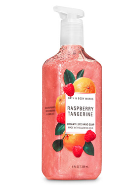 Bath & Body Works Gentle Gel Hand Wash 236 ml