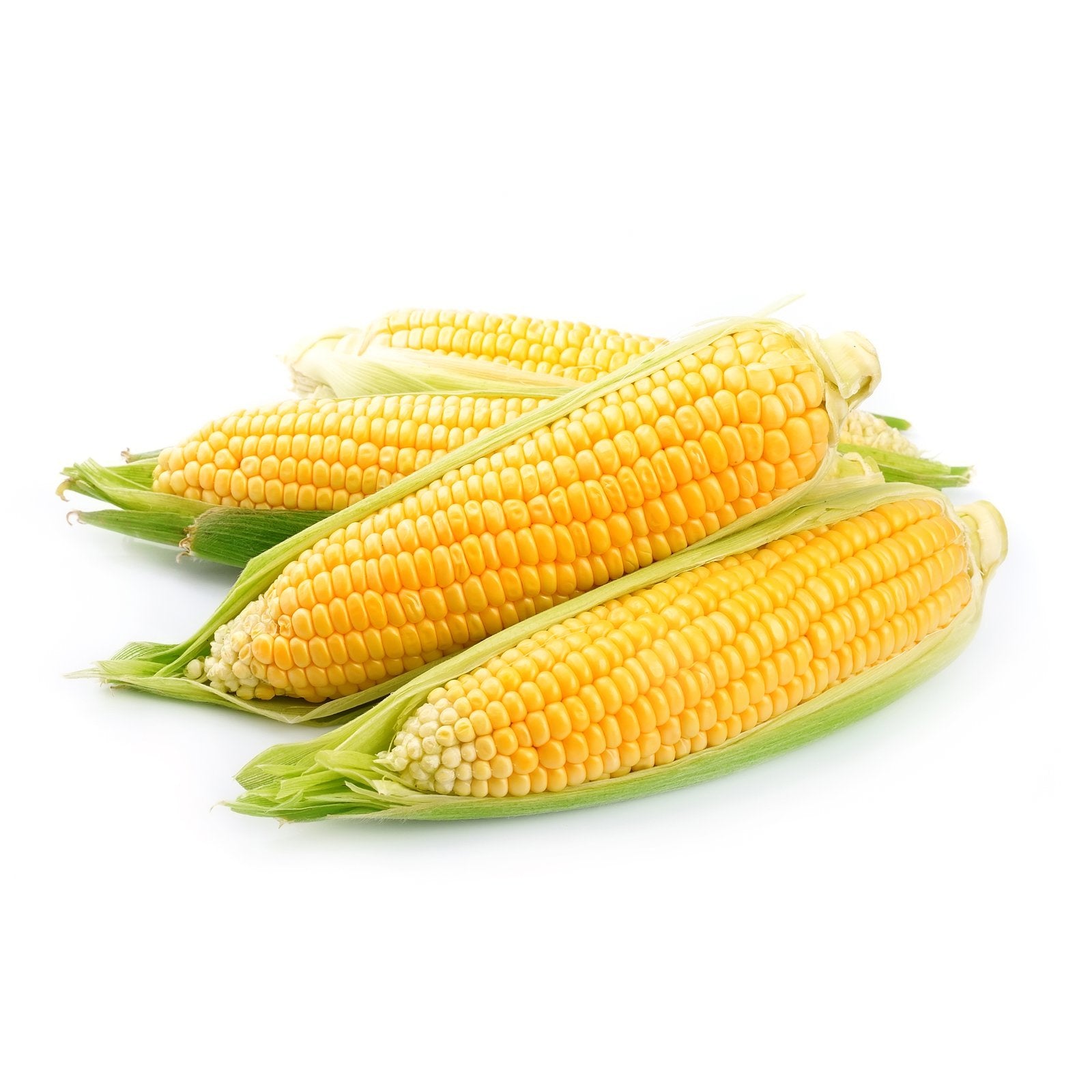 Corn  Cob / tray