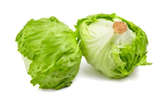 Lettuce Iceberg