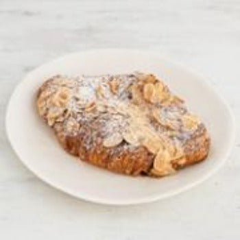 Sonoma Almond Plié 6 Pack